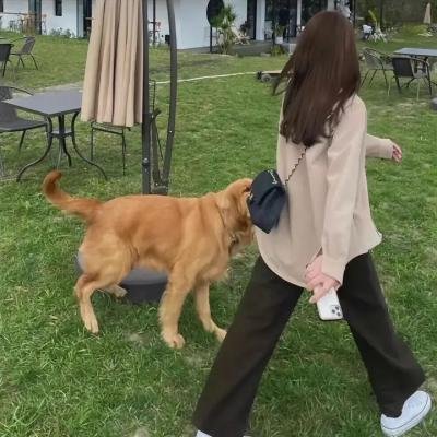 红楼梦第六部
